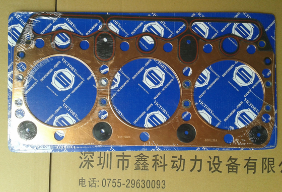 IVECO cylinder liner piston assembly,four supporting facilities for IVECO,1907471,8092269,8093893,8094740,99468534