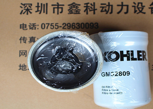 KOHLER diesel generator parts,Filters for Kohler,ED0021751650-S,524837,GM48728,GM50263,343219,GM48727,GM101994,359771